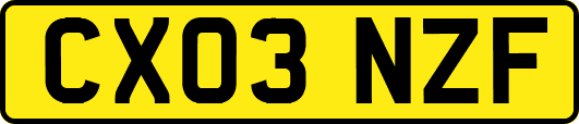 CX03NZF