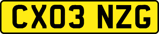 CX03NZG