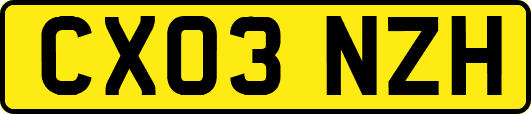 CX03NZH