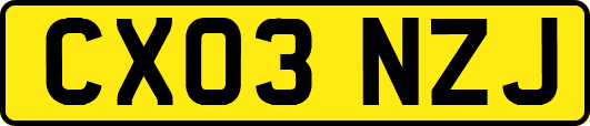 CX03NZJ