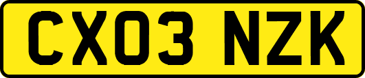 CX03NZK
