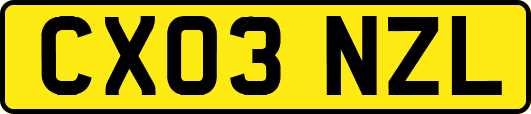 CX03NZL