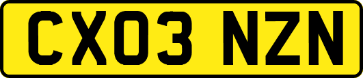 CX03NZN