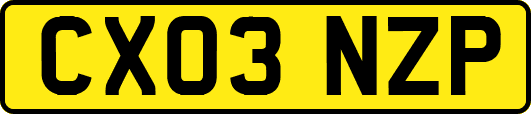 CX03NZP
