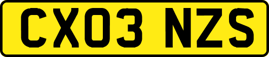 CX03NZS