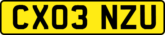 CX03NZU