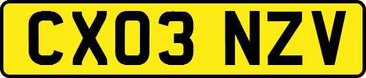 CX03NZV