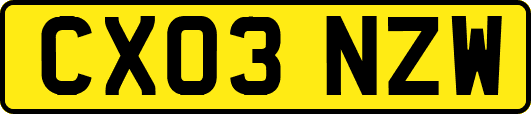 CX03NZW