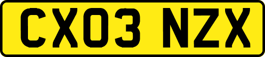 CX03NZX