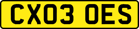 CX03OES