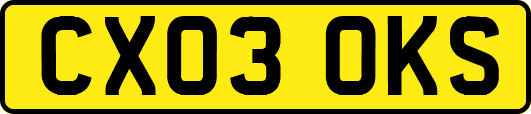 CX03OKS