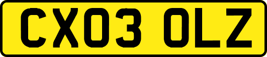 CX03OLZ