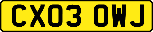 CX03OWJ