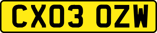 CX03OZW