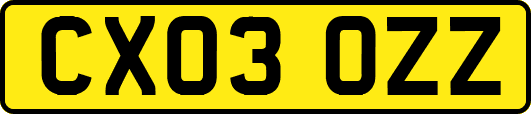 CX03OZZ