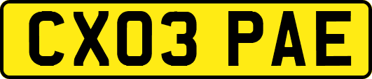 CX03PAE