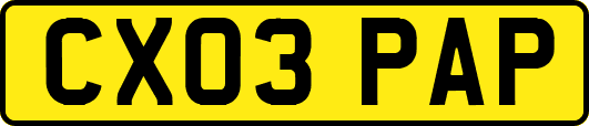 CX03PAP