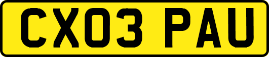 CX03PAU