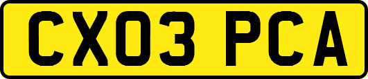 CX03PCA