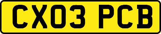 CX03PCB