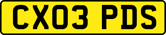 CX03PDS