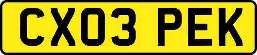 CX03PEK