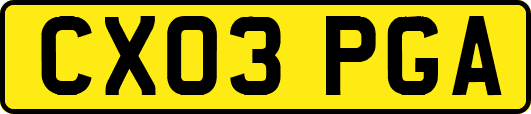 CX03PGA