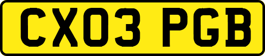 CX03PGB