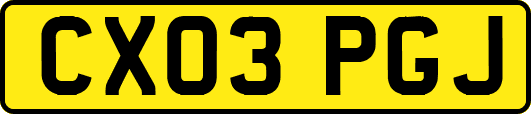 CX03PGJ