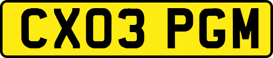 CX03PGM