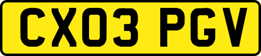 CX03PGV