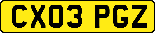 CX03PGZ