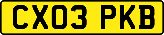 CX03PKB