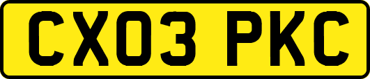CX03PKC