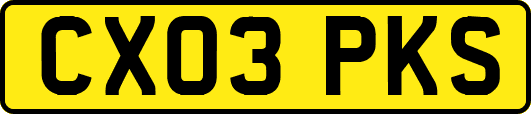 CX03PKS