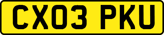 CX03PKU