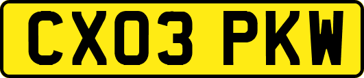 CX03PKW