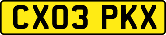 CX03PKX