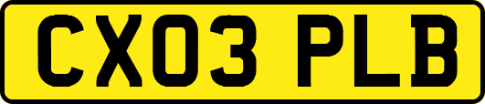 CX03PLB