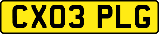 CX03PLG