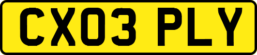 CX03PLY
