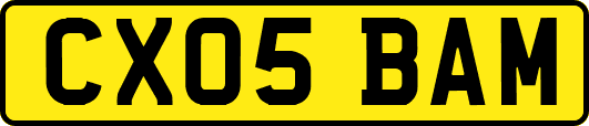 CX05BAM