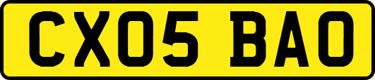 CX05BAO
