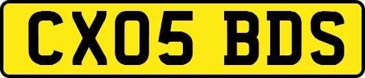 CX05BDS
