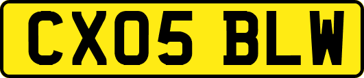 CX05BLW