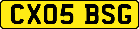 CX05BSG