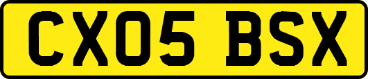 CX05BSX