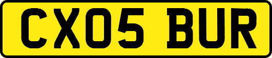 CX05BUR