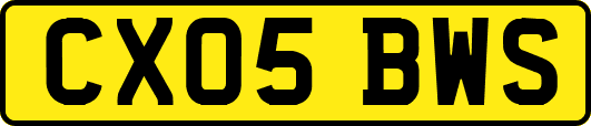 CX05BWS