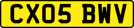 CX05BWV